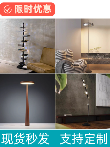 Modern Luxury Living Room Floor Lamp Nordic Minimalist Designer Creative Italian Sofa Side Stand Lamps Iron Body LED Light