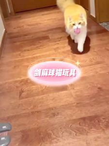 Đồ Chơi Banh Bóng Dây Thừng Chuột Dây Thừng kèm Lông Vũ cho Chó Mèo