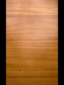 3 Books/Set English Reusable Copybook for Calligraphy Learn Alphabet Children Handwriting Practice Books Baby Libros Toy for Kid衡水体英文字帖初高中生满分作文英语凹槽练字帖初中专用七八九年级同步中考外语硬笔反复使用练字神器高一二三高考衡中体