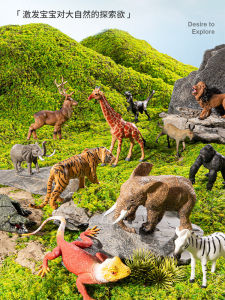 Early Education Childrens Simulation Animal Model Toys Farm Animal World Enlightenment Cognitive Gifts for Boys And Girls