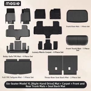 DIBOCHEPIN | Custom Fit TPE Floor Mats for Tesla Model Y