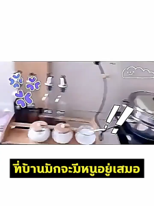 🐭หนูหายไปไม่มีร่องรอย🐭เจลไล่หนู ที่ไล่หนู ก้อนไล่หนู อาทไล่หนู สูตรใหม่ ใช้งานสะดวก ไล่หนู ยาไล่หนู ยาหนู