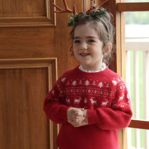 เสื้อสเวตเตอร์คอโปโลผ้าขนสัตว์สำหรับเด็ก แขนยาว ปกตั้ง ปกตั้ง ปกตั้ง เสื้อผ้าเด็กผู้ชาย เสื้อผ้าเด็กผู้หญิง เสื้อผ้าเด็ก เสื้อผ้าเด็ก ฤดูใบไม้ร่วง/ฤดูหนาว