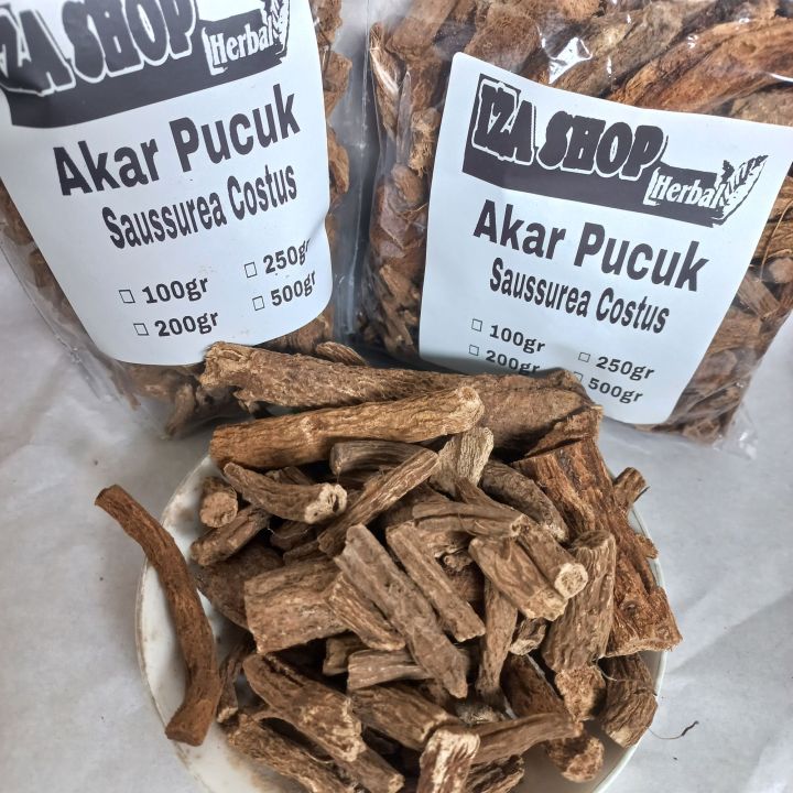 Akar Pucuk/Saussurea Costus 200gr | Lazada Indonesia