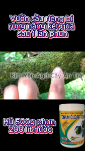 (Tẩy rong rêu chỉ sau 1 lần phun) Tẩy rong rêu trên cây trồng tẩy rong rêu sàn tường - hiệu Tonam Clear 70WP 500g
