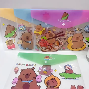 Cartoon Plastic File Button File A4 Size Paper File A4