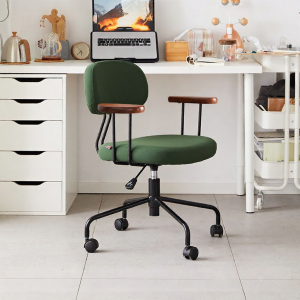 BOJOJAN | Adjustable Ergonomic Study & Home Chair