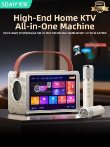 soaiy | Professional Home KTV Sound System