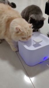 3L Automatic Pet Water Fountain For Dog Water Dispenser LED Pet Drinking Fountain Cat Water Feeder Large Capacity Auto-Shut-Down