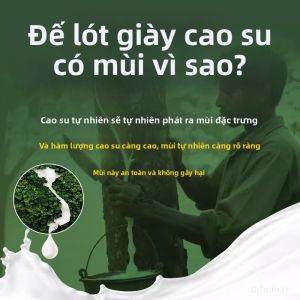 ZHIHAOEN | Đệm Giày Hút Ẩm Kháng Khuẩn Thông Gió