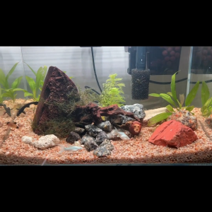 Natural Grade Aquarium Sand 1kg｜Premium Luxury Aquascape Substrate for Fish Tanks｜Safe & Versatile｜Buy 2 Free 1