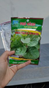 [Freeship Max] Hạt giống Mồng tơi lá to Phú Nông 591 gói 20 gram