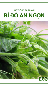 [EcoSeeds] Combo 2 Gói Hạt Giống Bí Đỏ Siêu Ngọn Nông Hưng Phú - Sinh Trưởng Mạnh - Gói 20g