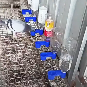 【In stock】10/20PCS Pet Bird Drinker Feeder Water Bottle Cup Chicken Pigeon Special Auto Drinking Feeding Tool for Poultry Pets