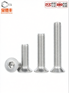 BAODEFENG | Small Sunk Flat Head Stainless Steel Screws