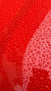 1st Gear Sealant Wax "Seal the shine with Hydrophobic Gloss Finish