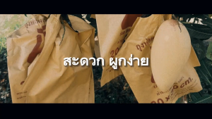 จำนวน 100 ใบ 20 x 30 ซ.ม. ถุงห่อมะม่วง ถุงคาร์บอน ทีเอบี ป้องกันแมลงวันทอง ช่วยให้ผลไม้มีสีและผิวส ถุงห่อมะม่วงชุนฟงแพค