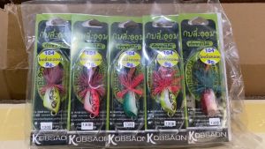 โดดจิ๋วสะออนNo.1 104 กบสะออน kobsaoon