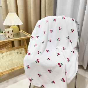 Thickened Dual-purpose Blanket