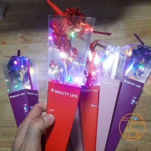 Hộp quà 8 tháng 3 cây hoa hồng galaxy đơn đầy màu sắc có đèn led - Quà tặng cho mẹ 8 tháng 3 hoa hồng