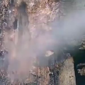 SEMPROTAN PEMBUNUH ANTI RAYAP KAYU TEMBOK MATI SAMPAI SARANG PALING AMPUH