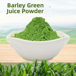 100 Pure Barley Grass Dietary Fiber Powder
