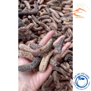 Chuối hột rừng chín khô nguyên quả chuối hột rừng Tây Nguyên chuối hạt rừng sấy ngâm rượu thơm loại 1 (chuối đẹp chín thơm ngon đúng tầm)