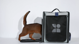 HiDREAM Expandable Pet Dog Cat Travel Carrier Bag for Large Capacity Transparent Backpack for Cat Dog Portable Large Travel Cage Breathable Cat Nest