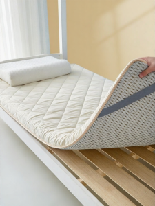 HAOMIAN | Dormitory Student Single Size Futon Mattress