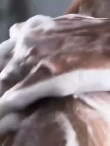 508ml Mens Shower Gel +Shampoo Moisturizing Dandruff Amino Acid Control Oil Refreshing and Deodorizing Deep Cleaning Care Set