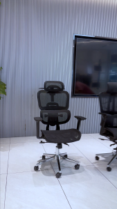 AIODIY Ergonomic chair waist support Computer chair backrest Rotating lifting household comfort breathable cool Sedentary Can lie down office seat Esports Chair