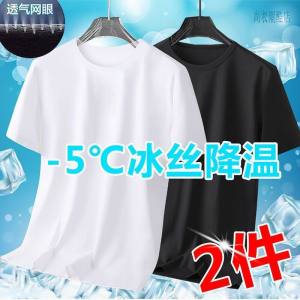 Ice Mesh T-shirt Mens Summer Short Sleeve T-shirt Mens Solid Loose Large Half Sleeve Quick Drying Breathable Sports T-shirt