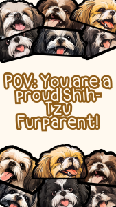 SHIH TZU DOG PEEKER STICKERS (WATEPROOF AND SCRATCH PROOF VINYL LAMINATED STICKER)