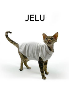 JELU Hairless Cat Clothes Pure Cotton Soft Allergy Proof Air Conditioned Room Warmth for Sphinx Devon Baby Cats Pet Supplies