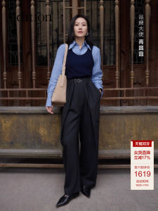 Spring New Edition 2025 High Waist Wide Leg Woolen Pants 3D Pleats Straight Cut Casual Trousers for Women by Edition