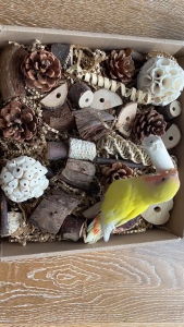 Bird Foraging Toy Gift Box | Natural & Colorful Edition | Keeps Parrots Active Happy & Healthy | Safe Chew Toys Pinecones Loofah Millet Spray