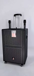 FT STAR FT-SK1500 15 INCHES 800W Powered Portable Rechargeable Trolley Speaker With 2 Wireless Microphone USB/BT/FM/MIC IN For Home And Outdoor Party