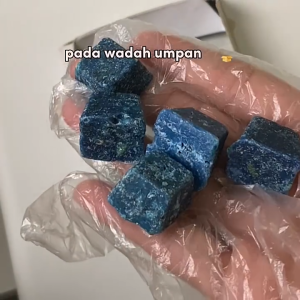 Ratnor Obat Racun Tikus Ampuh Tidak Bau Original 30gram Rat Killer