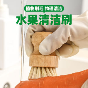 Ultimate Guide to Fruit & Vegetable Brushes: Multi-Purpose Tools for Your Restaurant Kitchen