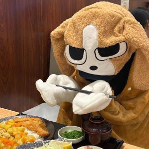 Outgoing Siamese Dog Blanket for Nap Time Funny Costume Robe Multi Building Dog Blanket Traveling Cat Cartoon Anime Toy