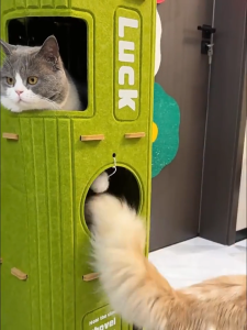Lovinland Cat House Cave Hideaway Scratch Resistant Hut Cat Tree Cat Bed for Pet Kitten Household Multi Layer Scratching Board All Season Universal