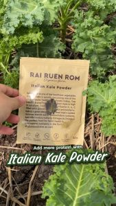 ไร่รื่นรมย์ ผงอิตาเลี่ยนเคล ออร์แกนิค : Organic Italian Kale Powder ธรรมชาติ 100%