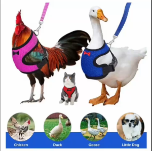 ÁO PHAO HUẤN LUYỆN ÁO VEST CAO CẤP BỘ DÂY ĐAI DÂY DẮT DÂY NỊT DÂY XÍCH GÀ VỊT THỎ CHÓ MÈO CHUỘT LANG CHỒN MỀM MẠI MÃ 2 DÀNH CHO THÚ CƯNG