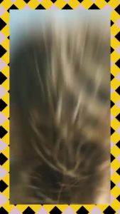 MẶT NẠ SIÊU PHỤC HỒI TÓC KHÔ XƠ DAVINES THE RENAISSANCE CIRCLE 750ML