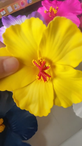 Jepit Rambut Bunga Kembang Sepatu Hiasan Kepala Gadis Jepitan Rambut  Bunga Jepitan Rambut Aksesoris Rambut Bunga Plumeria Hawaii Bunga Hibiscus Hairpin Jewelry Summer Beach PST