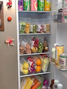 BG KANTONG PLASTIKK ZIPLOCK TERTUTUP RAPAT / PLASTIK KULKAS PENYIMPAN MAKANAN