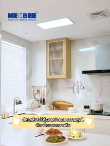 NEOBEE โคมไฟดาวน์ไลท์ LED ขาว วอร์ม 9W12W18W24W กลมสี่เหลี่ยม ติดตั้งง่าย รุ่น NB-APN