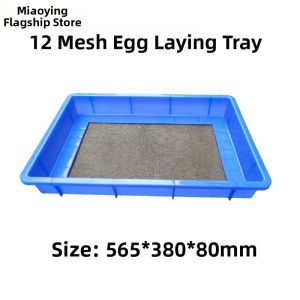 TEKANAI | Multipurpose Reinforced Plastic Storage Tray