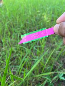 Deli ที่ตัดแบ่งใบพลาสติก ริบบิ้น ใบสนูว่าว 12 15 30มิล ตัดแบ่ง 6-15 มิล สำหรับงานพลาสติก