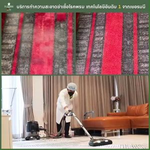 De Hygienique - Set Pillow Spray + คูปองทำความสะอาด พรม